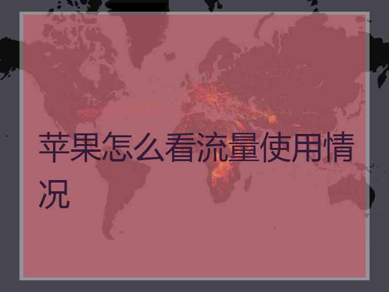 苹果怎么看流量使用情况