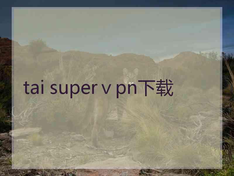 tai superⅴpn下载