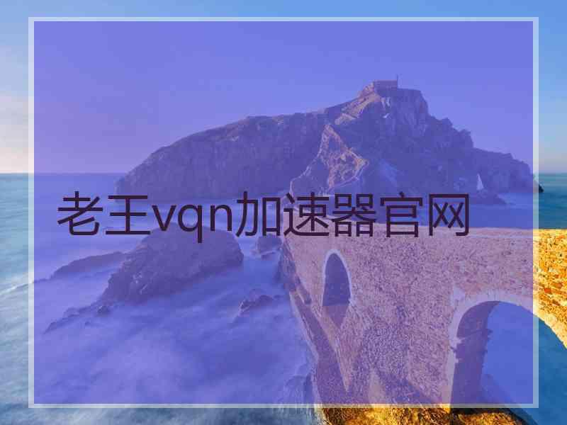 老王vqn加速器官网