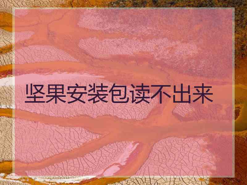 坚果安装包读不出来