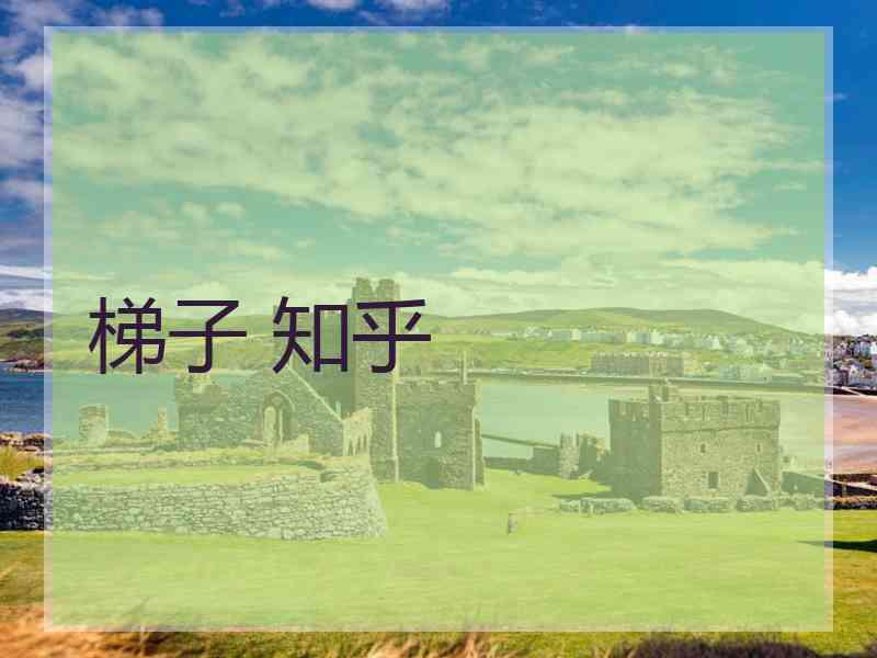 梯子 知乎