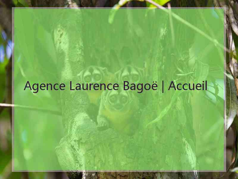 Agence Laurence Bagoë | Accueil