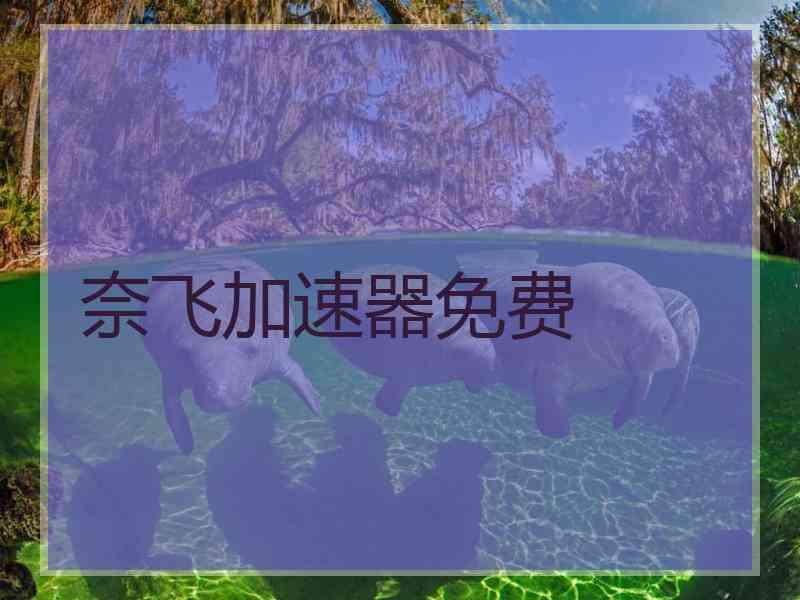 奈飞加速器免费
