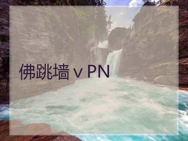 佛跳墙ⅴPN