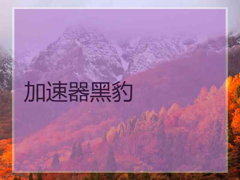 加速器黑豹