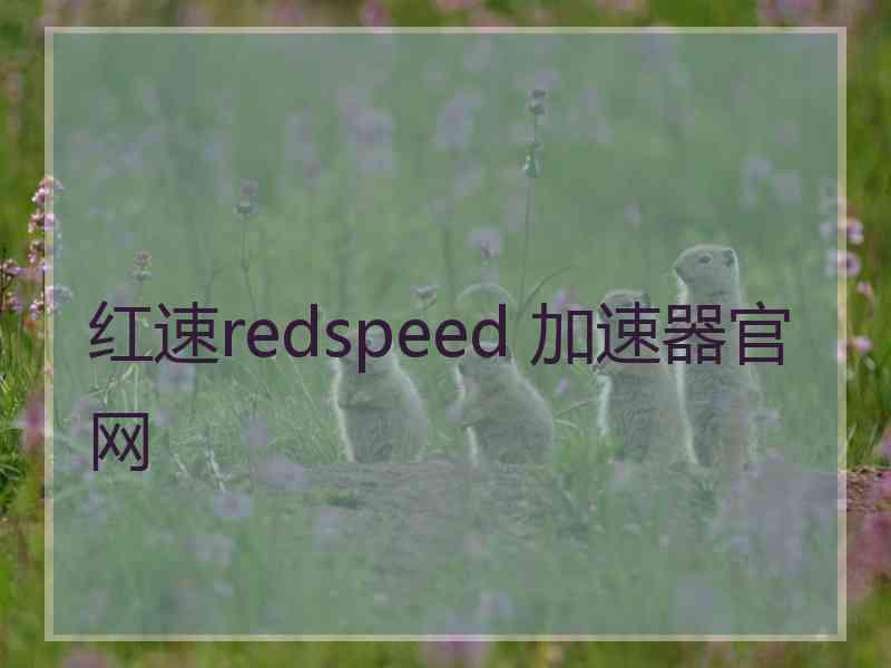 红速redspeed 加速器官网
