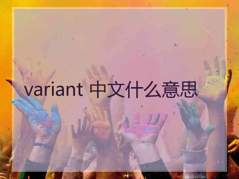 variant 中文什么意思