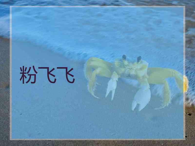 粉飞飞