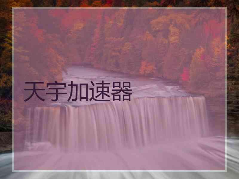 天宇加速器