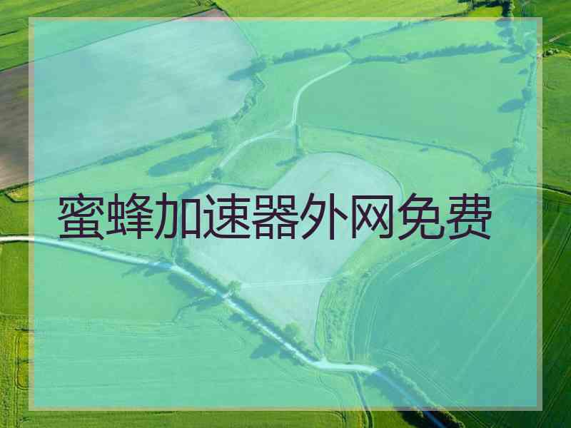 蜜蜂加速器外网免费