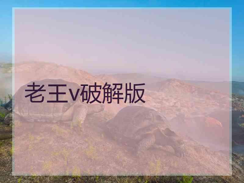 老王v破解版
