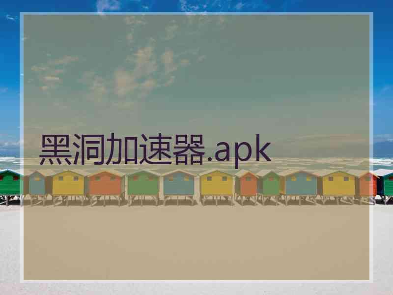黑洞加速器.apk