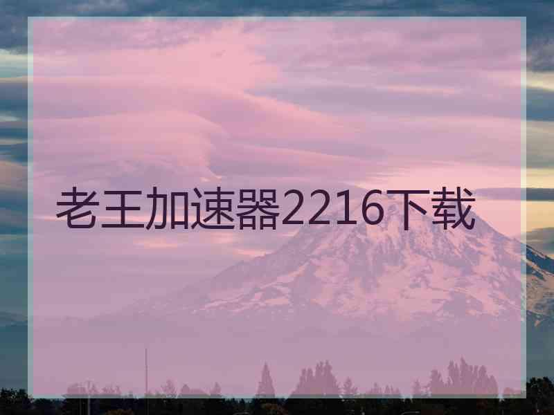 老王加速器2216下载