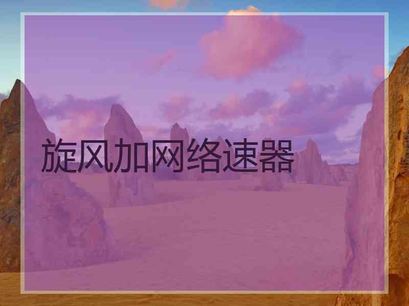 旋风加网络速器