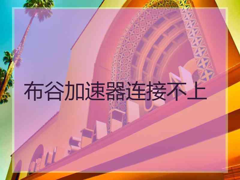 布谷加速器连接不上