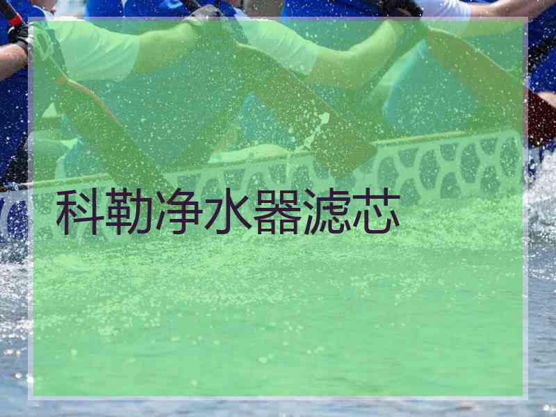 科勒净水器滤芯