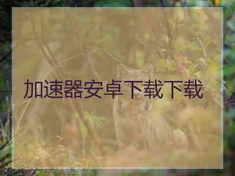 加速器安卓下载下载