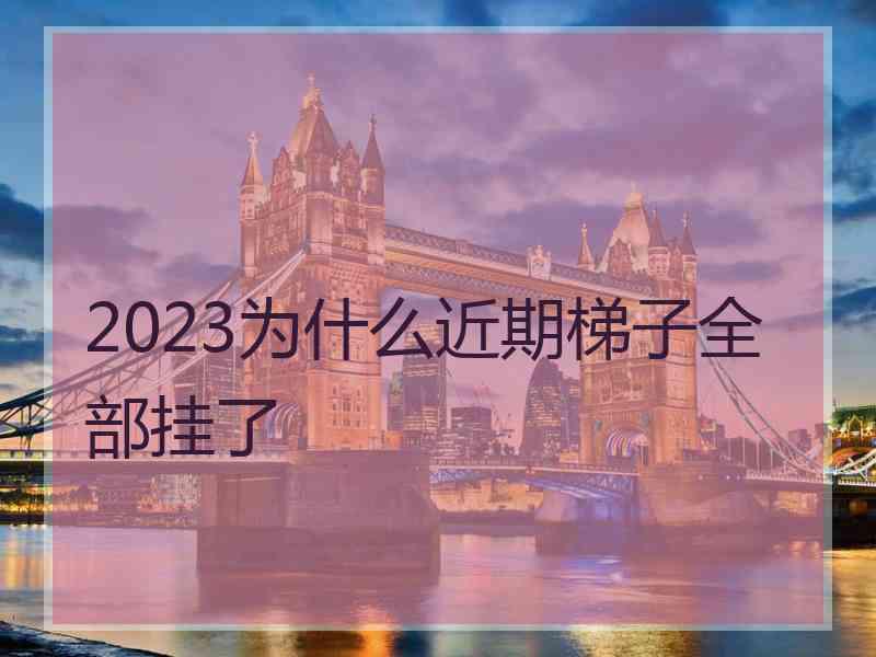 2023为什么近期梯子全部挂了