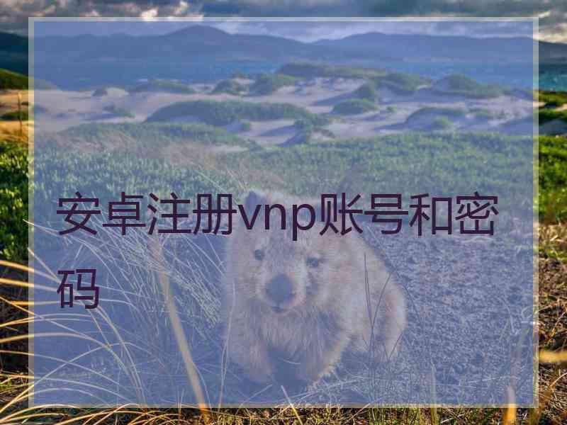 安卓注册vnp账号和密码