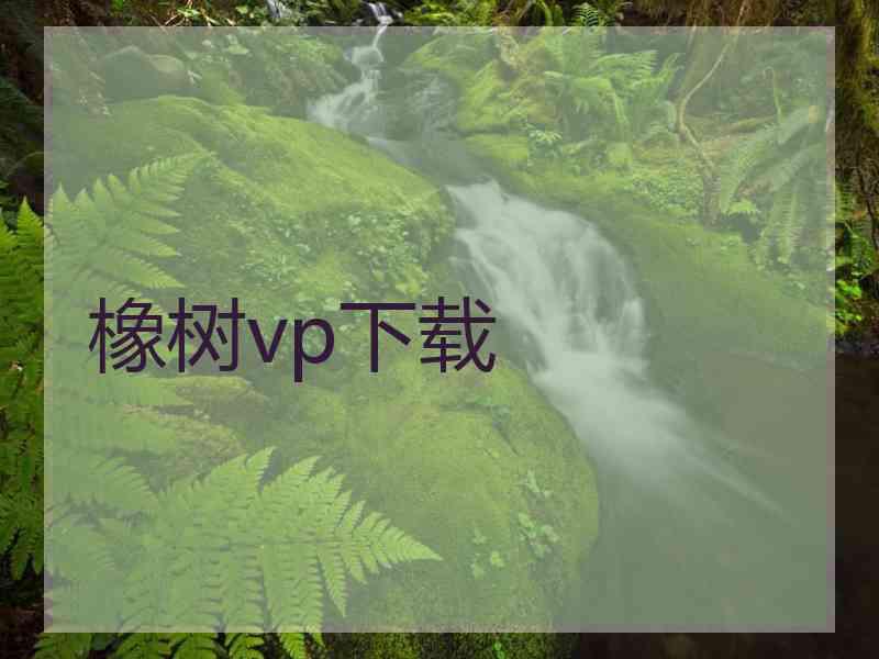 橡树vp下载