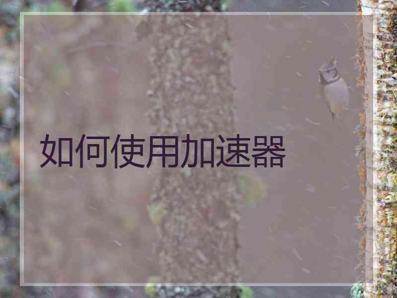 如何使用加速器