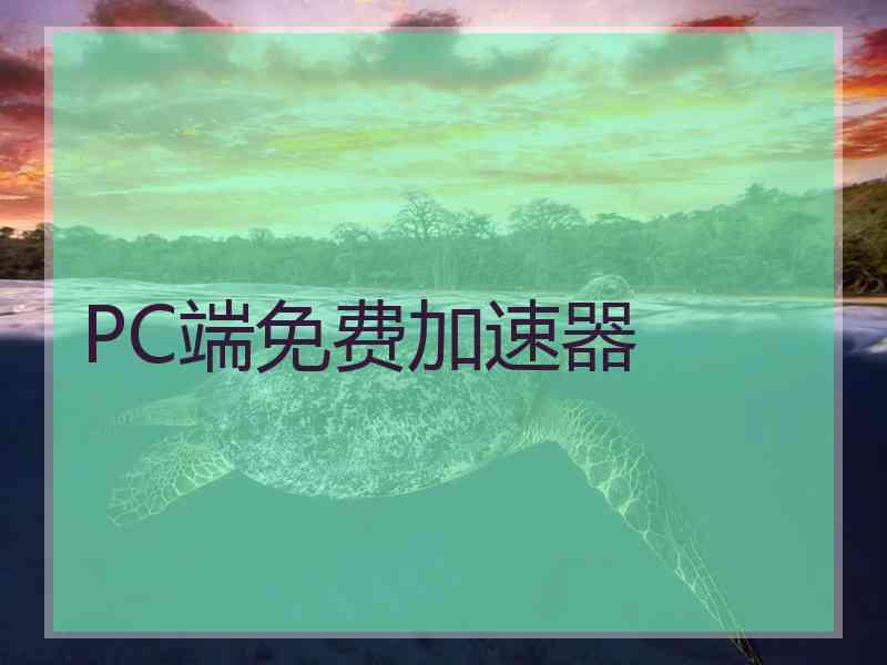 PC端免费加速器