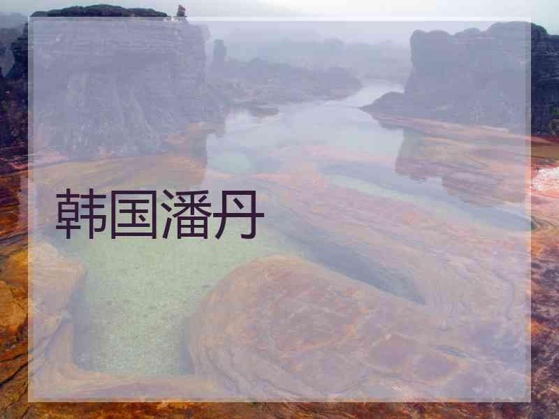 韩国潘丹