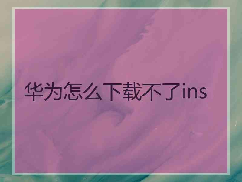 华为怎么下载不了ins