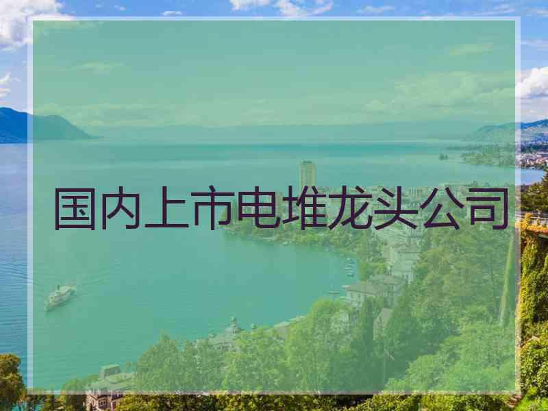 国内上市电堆龙头公司
