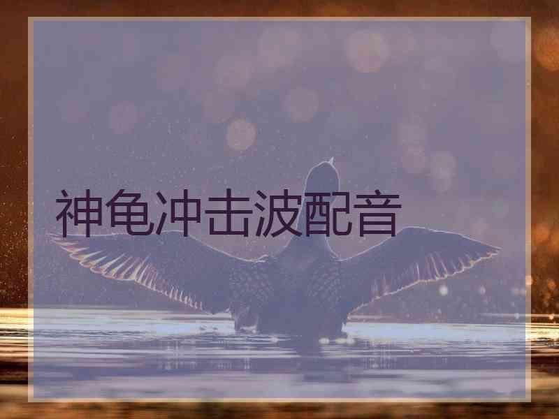 神龟冲击波配音
