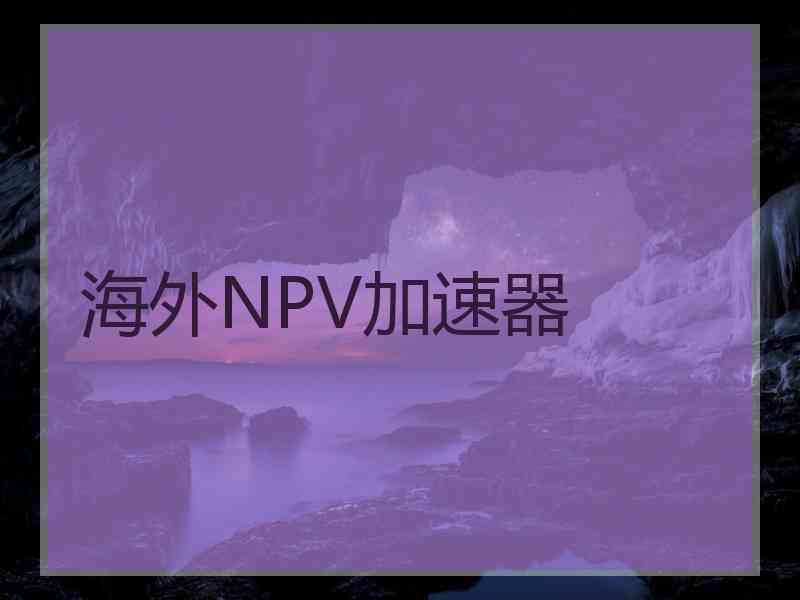 海外NPV加速器