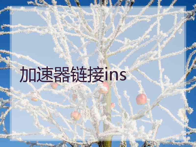 加速器链接ins