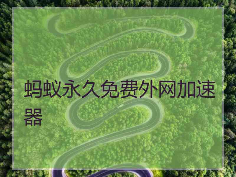蚂蚁永久免费外网加速器