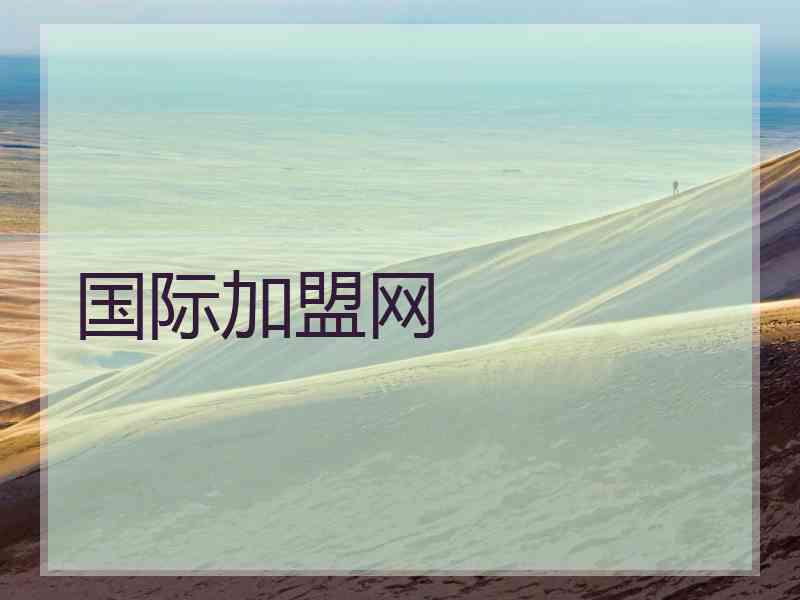 国际加盟网