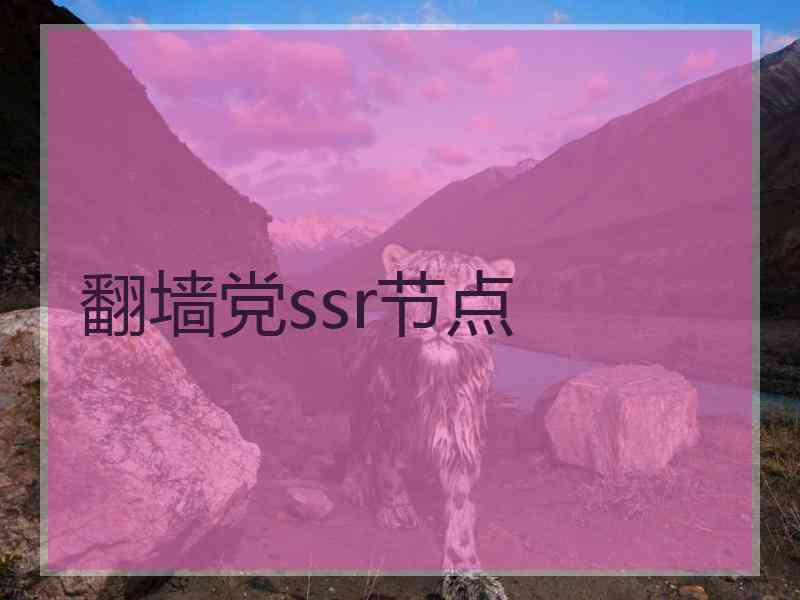 翻墙党ssr节点