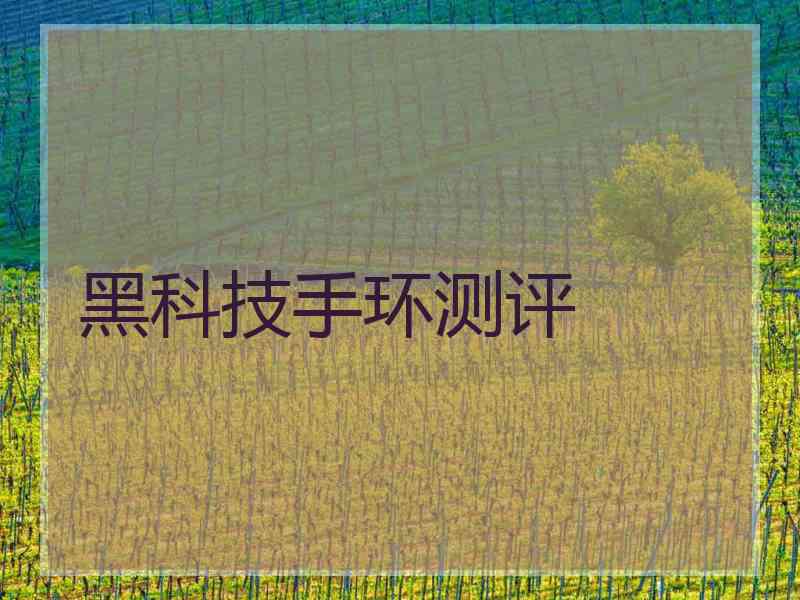 黑科技手环测评