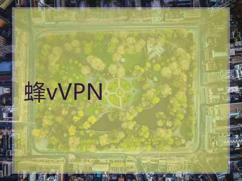 蜂vVPN