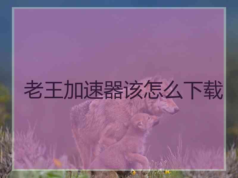 老王加速器该怎么下载