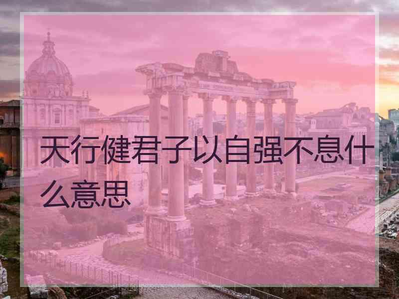 天行健君子以自强不息什么意思