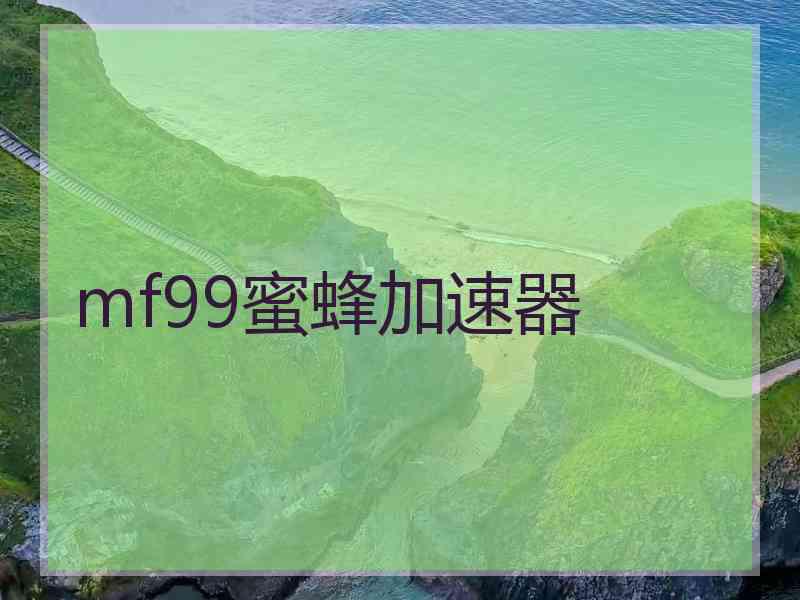mf99蜜蜂加速器