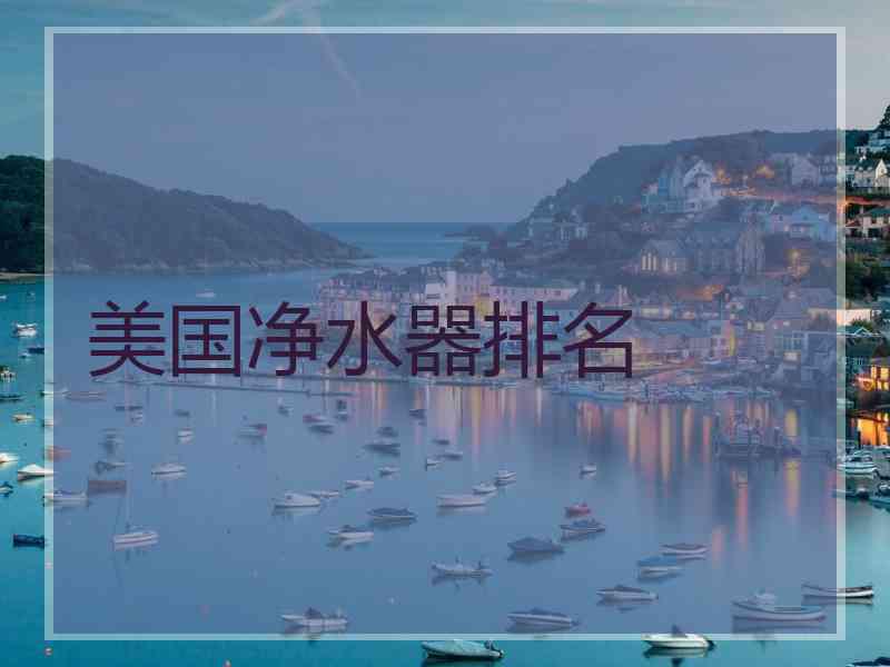 美国净水器排名