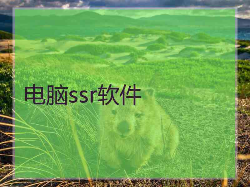 电脑ssr软件