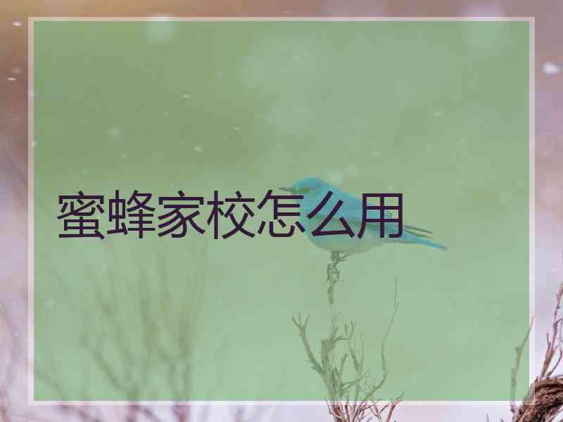 蜜蜂家校怎么用