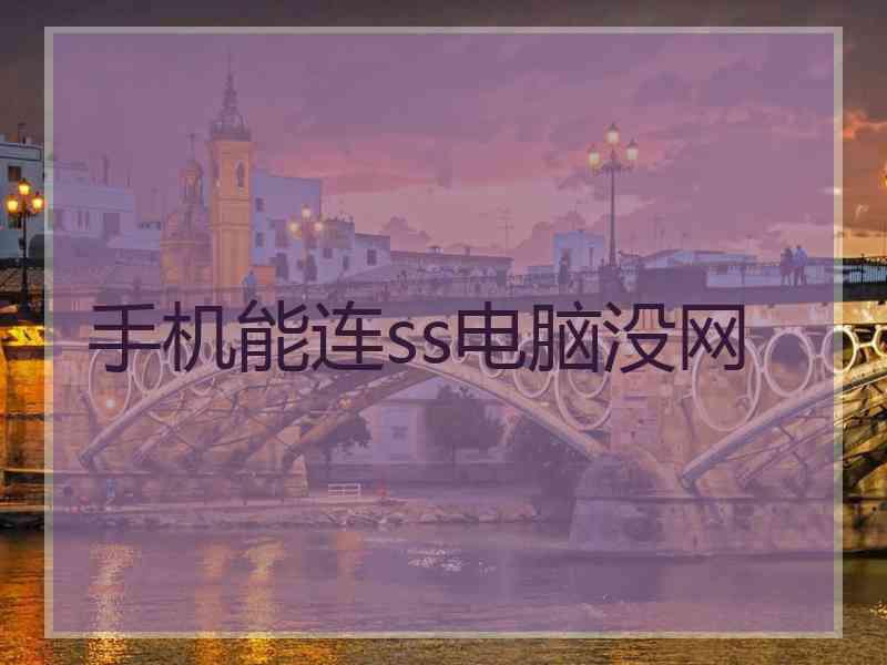 手机能连ss电脑没网