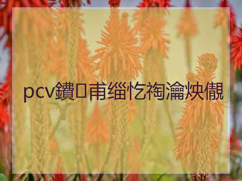pcv鐨甫缁忔祹瀹炴儬