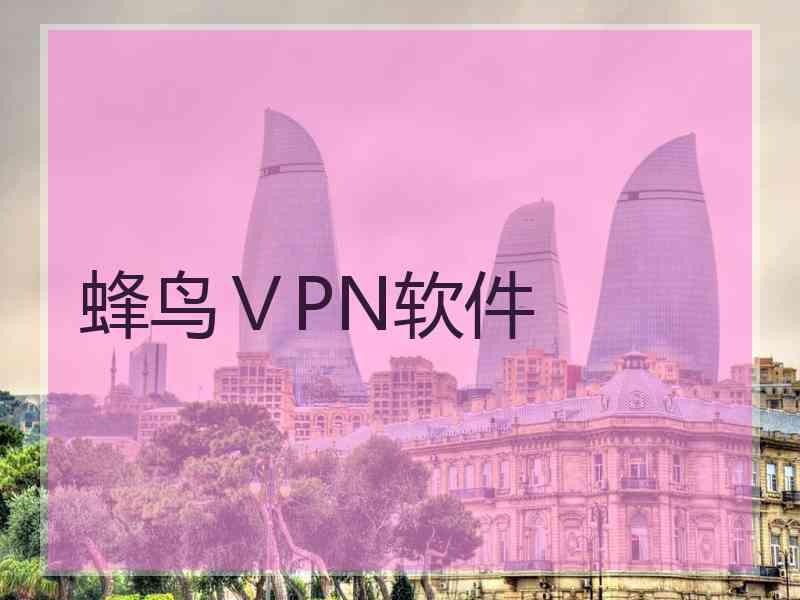 蜂鸟ⅤPN软件