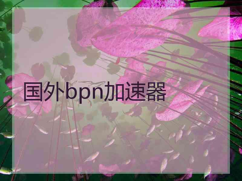 国外bpn加速器