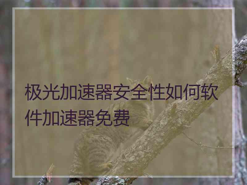 极光加速器安全性如何软件加速器免费