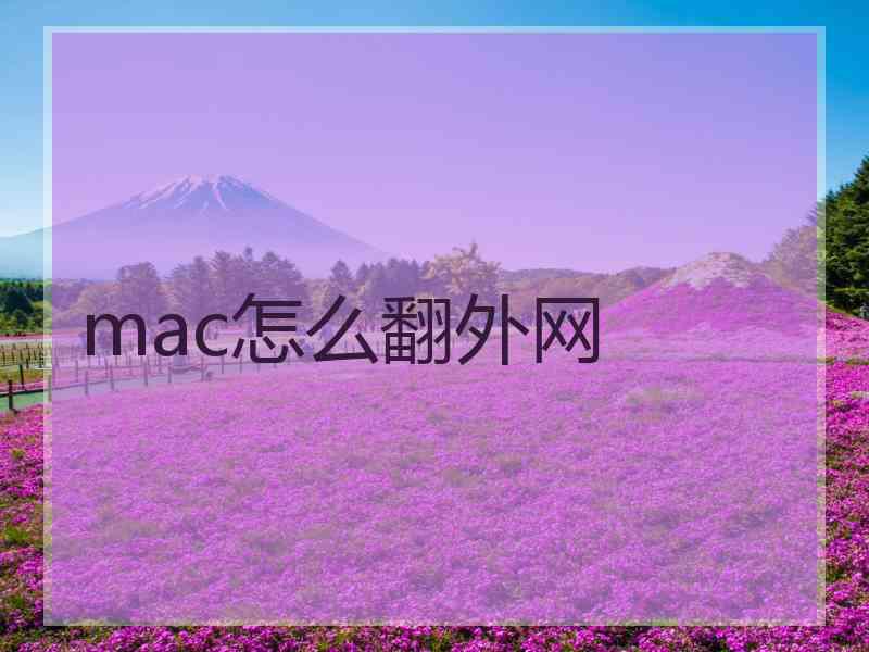 mac怎么翻外网