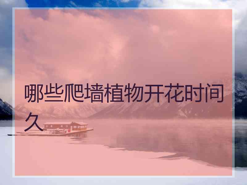 哪些爬墙植物开花时间久